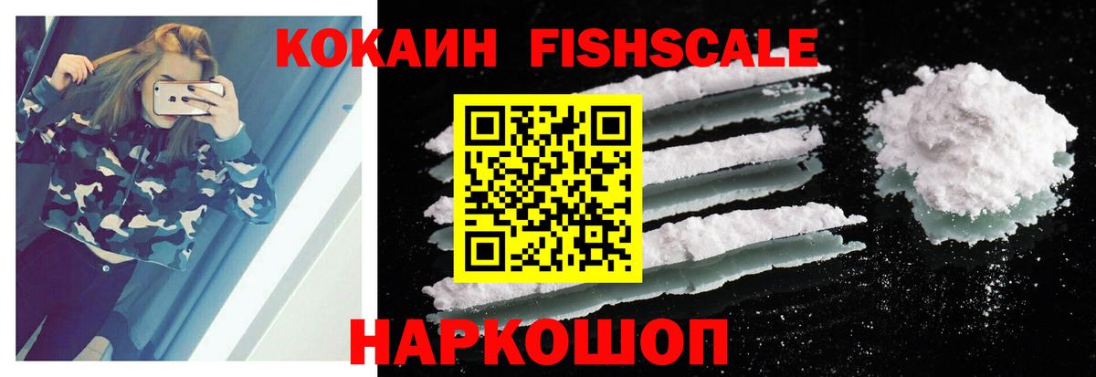 COCAIN FishScale Будённовск