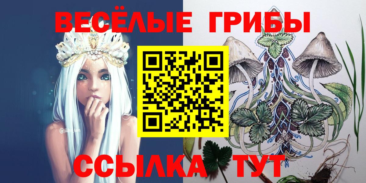 Будённовск  Галлюциногенные грибы мухоморы  Вход с VPN  Галлюциногенные грибы MAGIC MUSHROOMS 